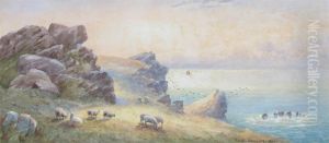 Looking Westward On The Headland Newquay