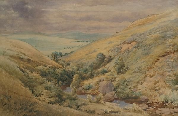 The Moorland Glen - view 1
