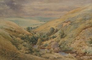 The Moorland Glen The Moorland Glen