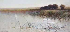 Swans On A River Swans On A River