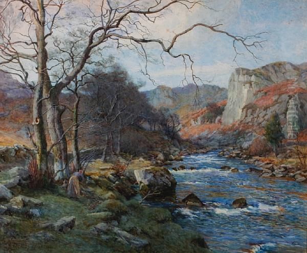 The Lledr River - view 1