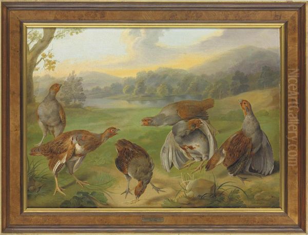 A Covey Of English Partridges In An Extensive River Landscape - view 1