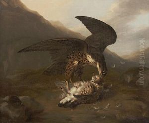 Bird Of Prey