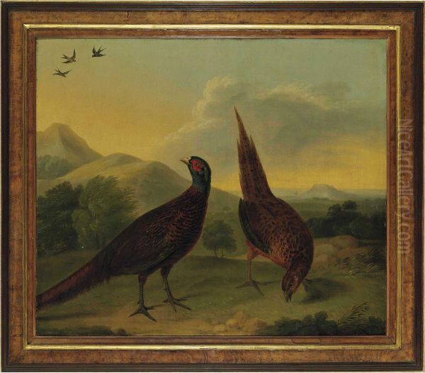 Pheasants In A Landscape - view 1