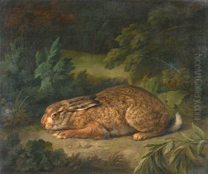 A Hare In A Woodland Clearing