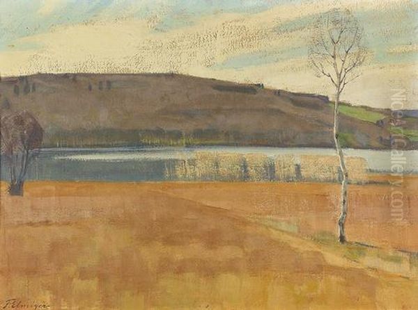 Herbstliche Landschaft Am Seeufer. - view 1