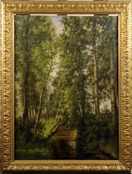 Riviere Dans Un Sous-bois - view 1