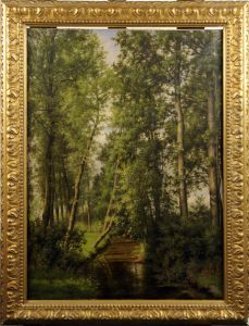 Riviere Dans Un Sous-bois