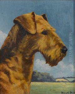 Portrait Of The Airedale Terrier Bitch Sudstone Vivien