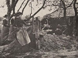 Oster-peeling, Norfolk