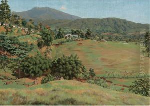 View Of Costa Rica by Emilio Span
