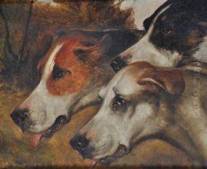 Portrait Of 3 Hounds by John Emms