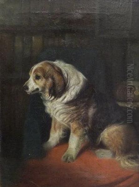A Spaniel - view 1
