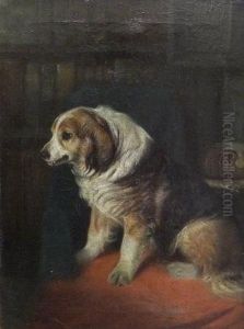 A Spaniel by John Emms