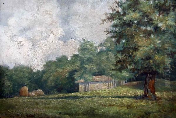 Landscape - view 1