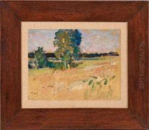 Worpswedersommerlandschaft by Am Hans Ende