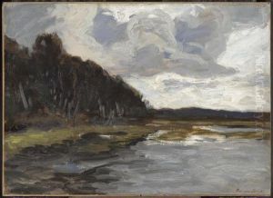 Moorland. by Am Hans Ende