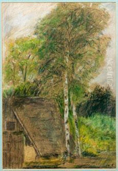 Worpsweder Moorkate Mit Birken - view 1