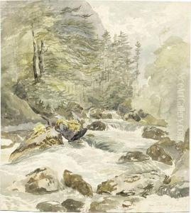 Am Strubb Bei Hallstadt by Thomas Ender