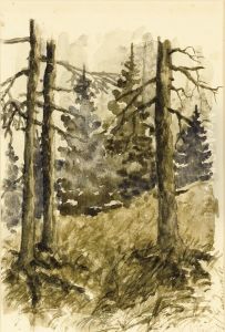 Forest by Ivan Ivanovich Endogouroff