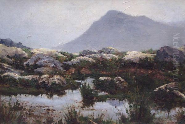 Norwegische Landschaft - view 1