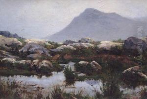 Norwegische Landschaft by Henry Enfield