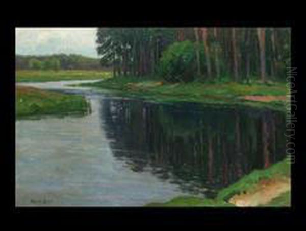 Flusslauf Am Waldrand Bei Berlin - view 1