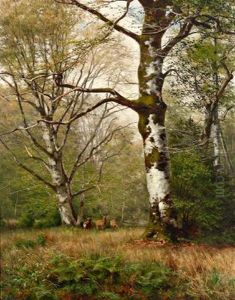 Rehe Auf Der Waldlichtung