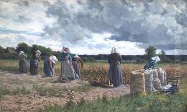 Frauen Bei Der Feldarbeit - view 1