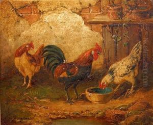 Chickens And Cockerell Feeding, And Another Similar