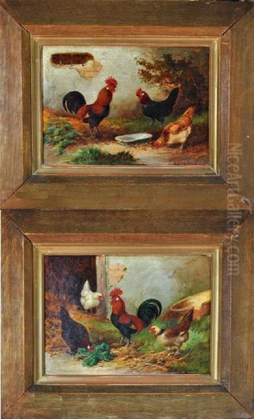 Poultry Studies - view 1