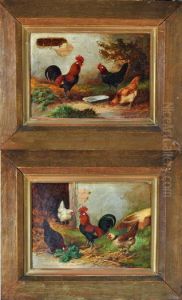 Poultry Studies by E.S. England