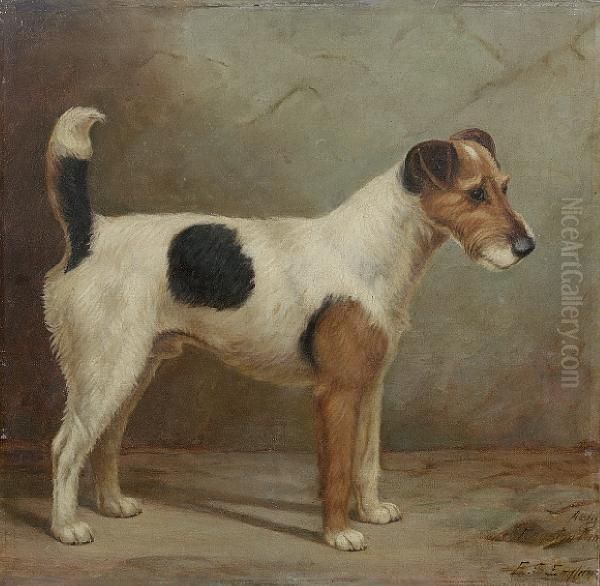 A Fox Terrier - view 1