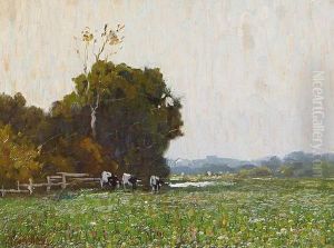 Cows In A Summer Meadow Cows In A Summer Meadow