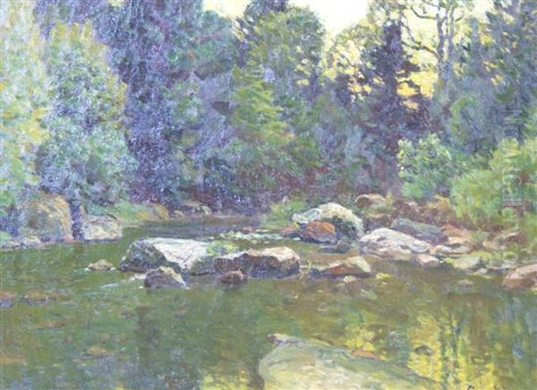 The Trout Brook - view 1