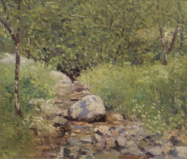 Rocky Brook - view 1