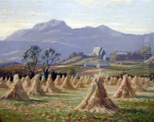 Moelwyn Mountains Near Barmouth, N.w - view 1