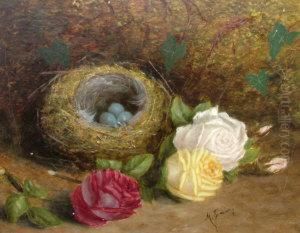 Still Life Of A Birds Nest And Roses