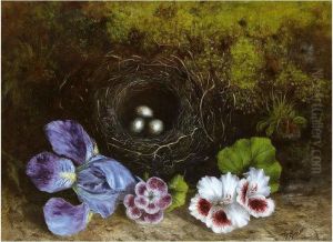 Still Lives by Mary Ensor