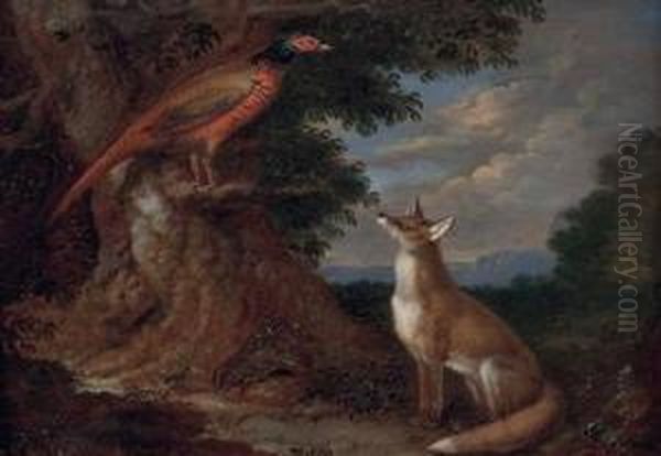 Fuchs Und Fasan In Landschaft - view 1