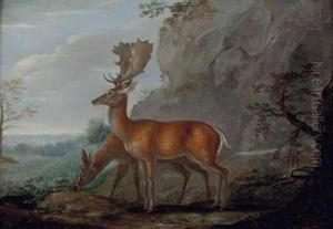 Damhirsch Und Hirschkuh In Landschaft by Anton Enzinger