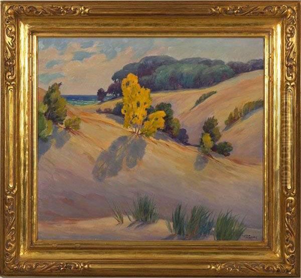Golden Dune - view 1