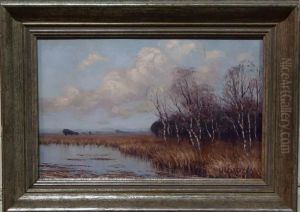 Landschap Met Berken
