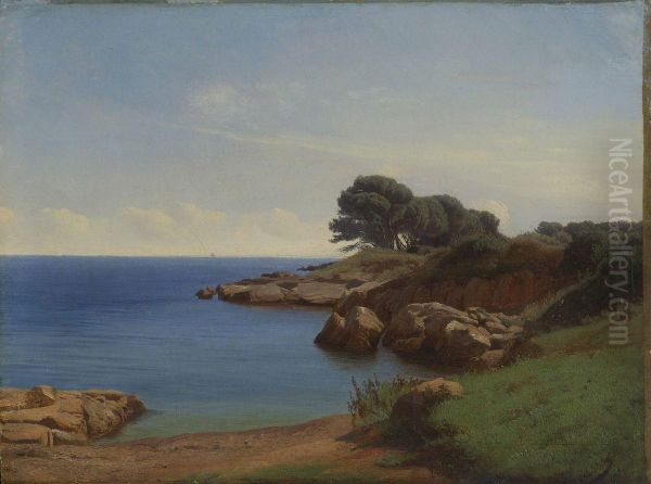 Felsige Kustenlandschaft - view 1
