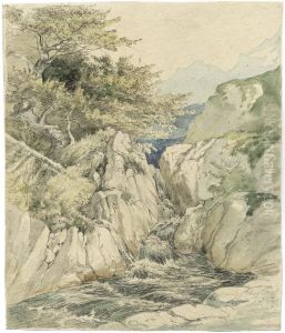 Wildbach Im Achental by Robert Erbe