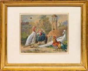 Pittoreskehofszene Mit Truthahnpaar, Pfau Und Hahn by Robert Erbe