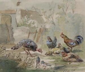 Huhner, Tauben Und Truthahn Im Garten by Robert Erbe