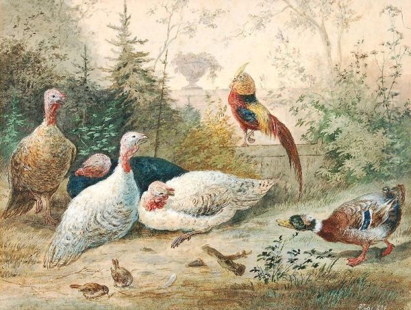Fowls In The Garden - view 1