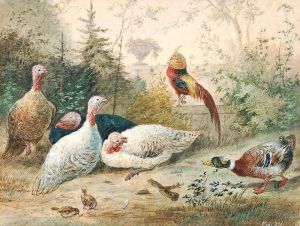 Fowls In The Garden