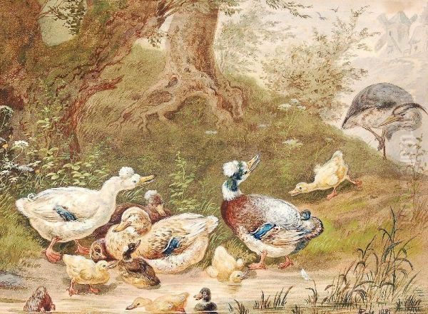 Poultry In The Forest - view 1